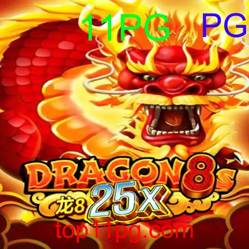 Dragon8s25x